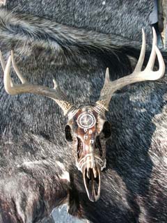skull_art