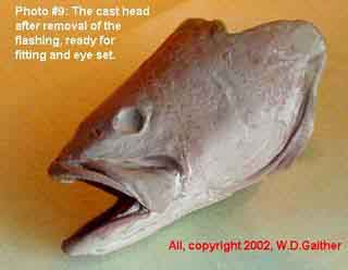 fish taxidermy fish head casting