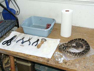 snake_skinning_supplies