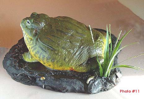 cast African Bullfrog