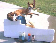 taxidermy habitat shelf 1