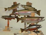 wholesale fish taxidermy